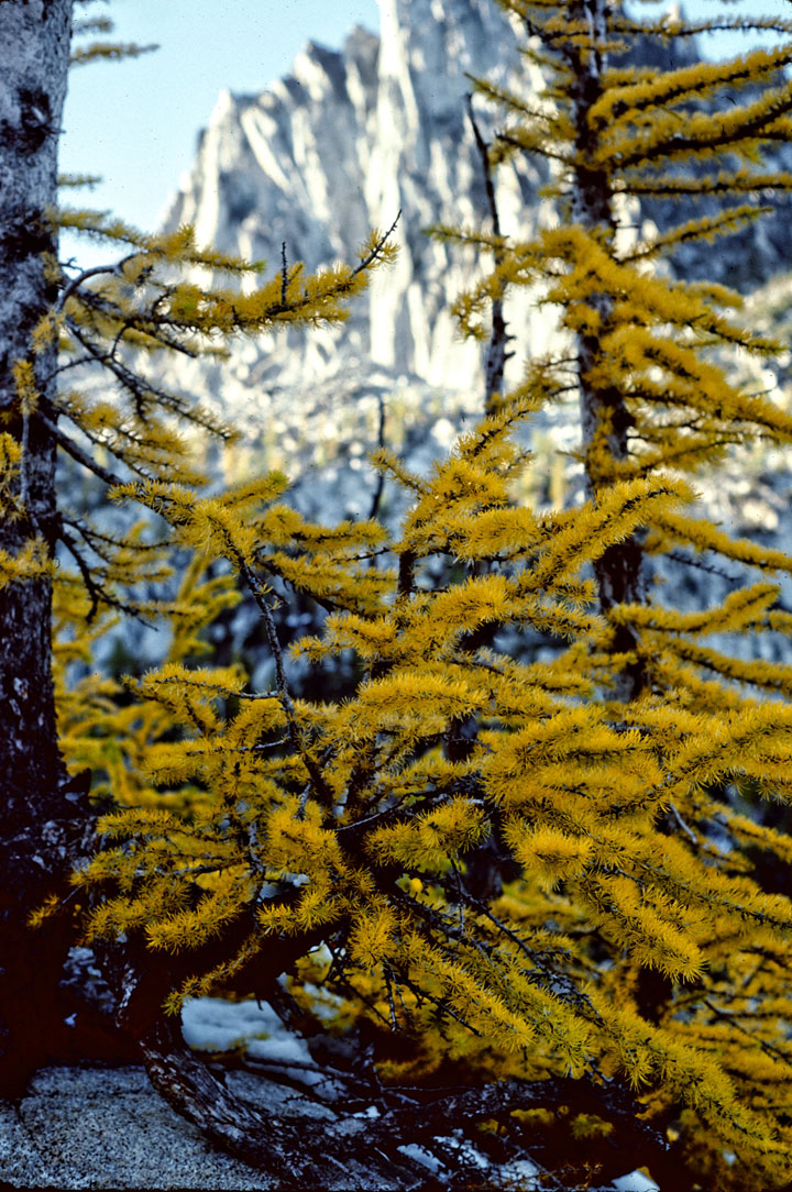 Upper Snow Lake