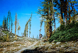 Mel at Grasshopper Pass