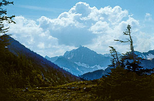 Glacier Pass, before dropping down to Brush Creek