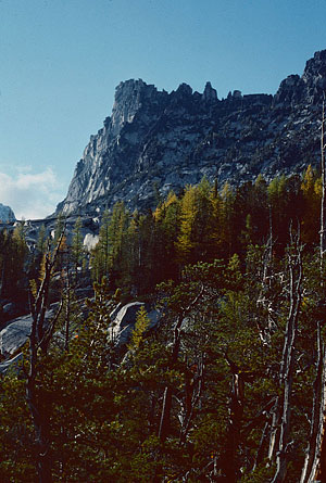 Prusik Peak and Trauma Rib