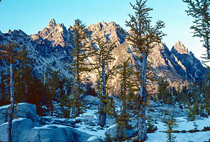 The Enchanted Forest and The Temple