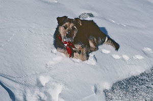 Micki on Little Annapurna