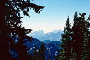 Mt. Index (center, left) from just south of Stevens Pass