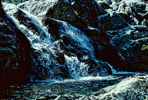 A pool in the outlet stream from Lake Ivanhoe