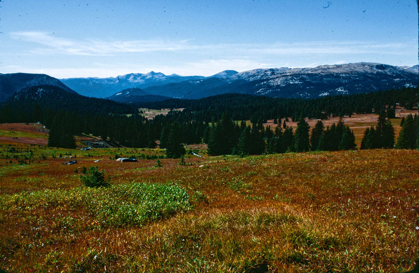 The wide-open meadows of Horseshoe Basin