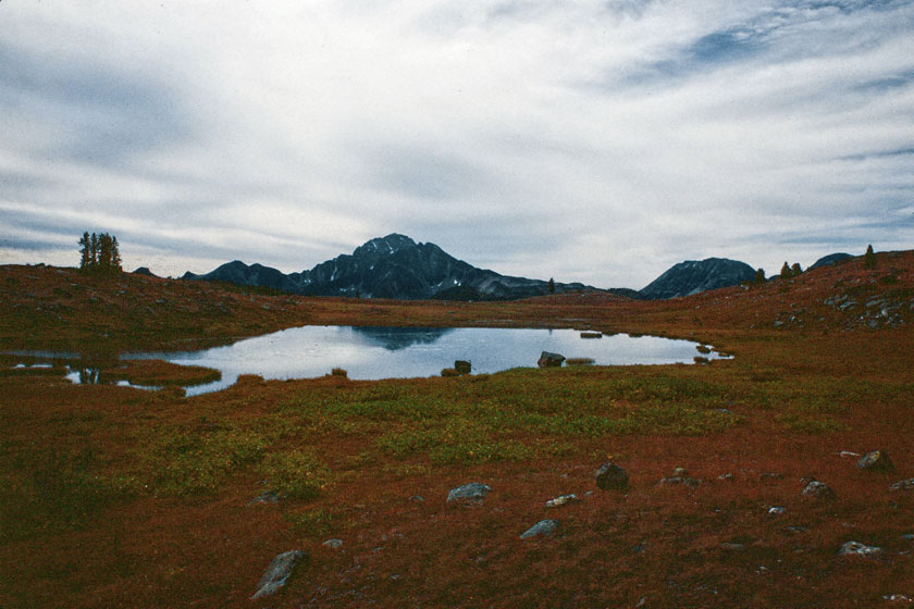 Spanish Camp meadows, west of Cathedral Lake.  Remmel Mtn. in the distance.