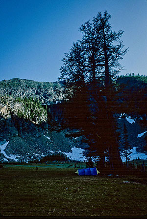 Larch Lake camp