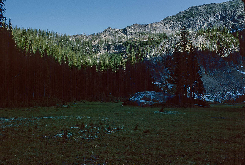 Meadows around Upper Larch Lake