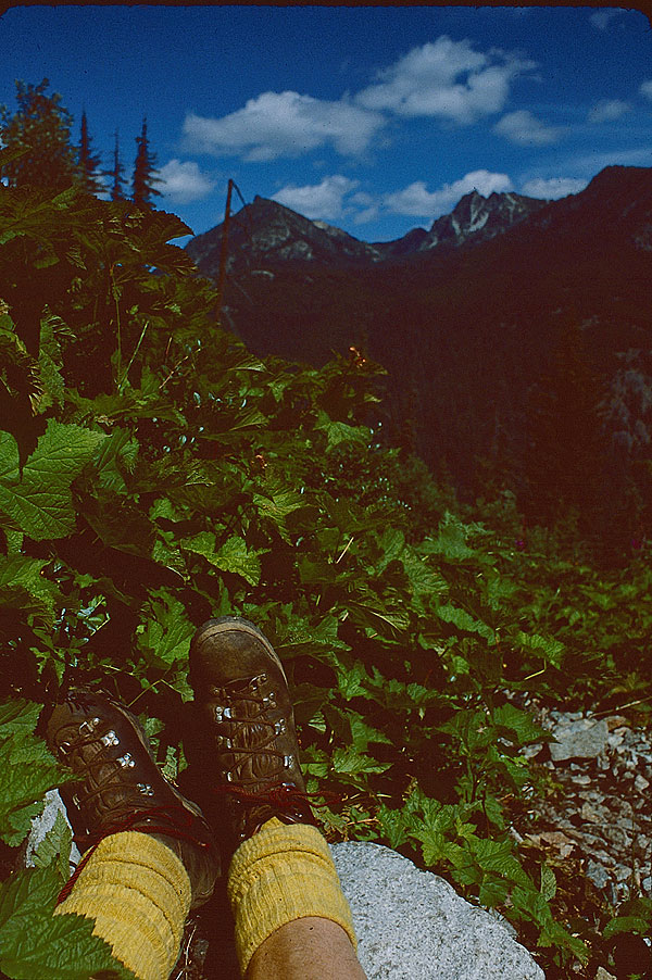 On Larch Lake trail