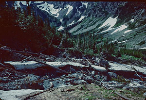 Ice Creek from route up to Lower Ice Lake