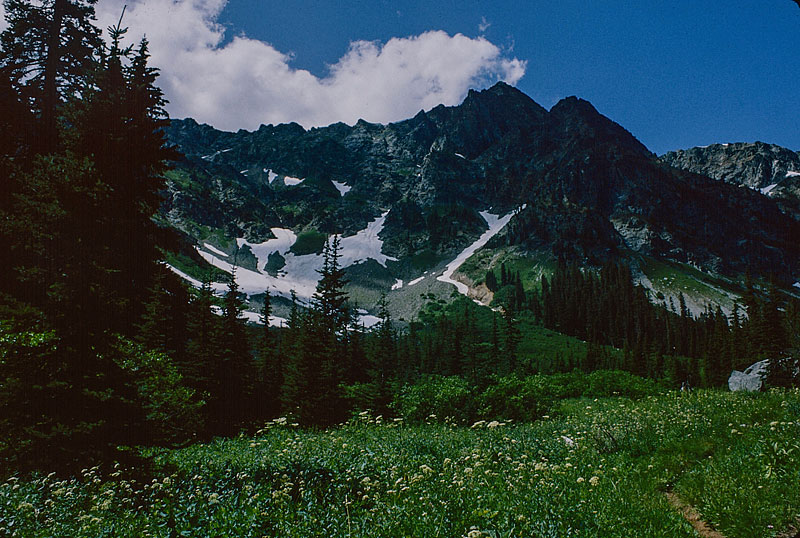 Entiat Mountains and Ice Creek Meadows