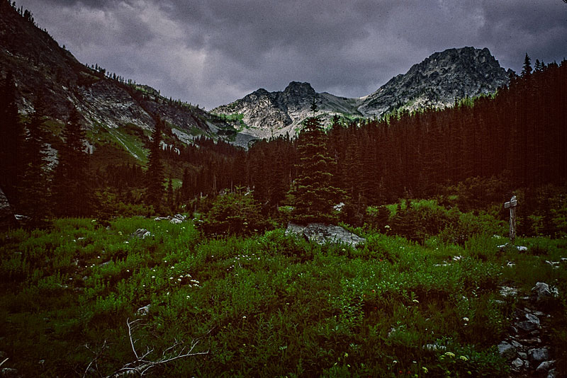 Entiat Mountains and Ice Creek Meadows