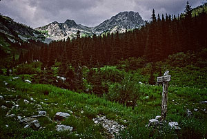 Ice Creek trail jct