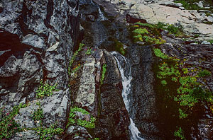 Ice Lake streamlet