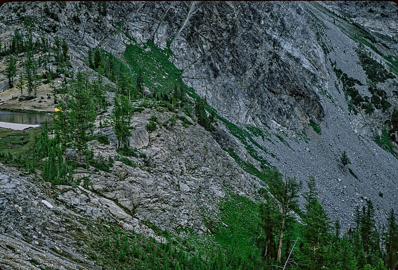 By way of comparison, the last bit of the route up Ice Creek.  The little yellow dot (left center) is the neighbors' tent and the location of the outlet stream.