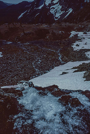 Upper Ice Lake outlet stream