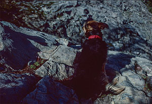 Micki at Upper Ice Lake