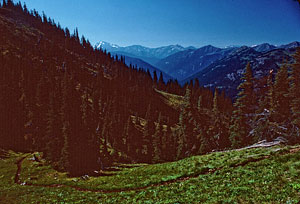 027-West-from-Frost-Pass