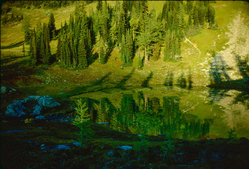 Lower Goat Lake catching the golden light of the late afternoon sun.