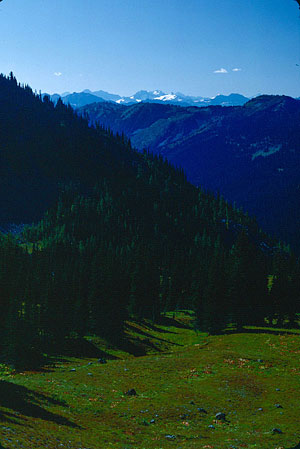 009-West-from-Goat-Basin