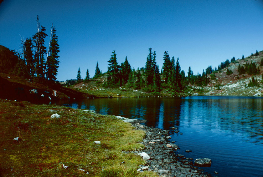 Morning at No Name Lake