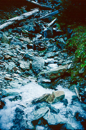 Ice on No Name Lake's outlet stream