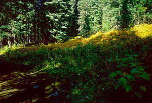 Starting out near Fish Lake