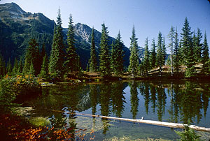 Pond on Blue Ridge