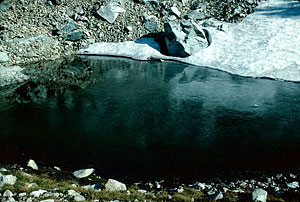 Iced-over pond near No Name Lake