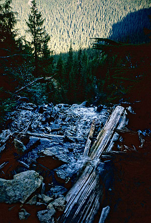 No Name Lake outlet stream