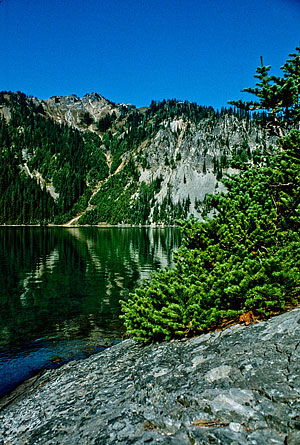 Morning at Marmot Lake