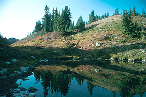 No Name Lake reflection