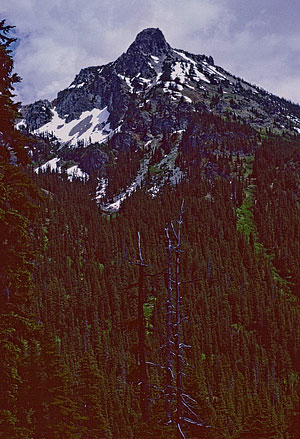 Hibox Mt. from trail up to Rachel Lake