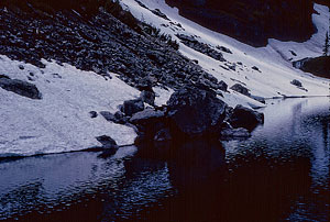 Rachel Lake south cove