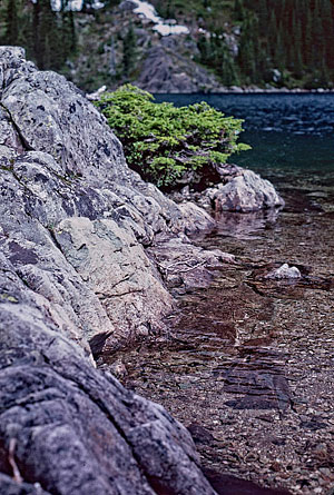 Rachel Lake shore