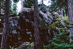 Rock and trees near camp