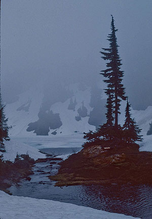 Foggy Rampart Lakes