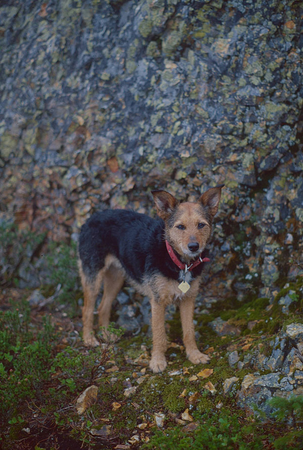 Micki on Rampart Ridge