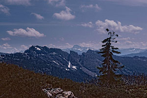 Mt. Stuart from Alta Peak