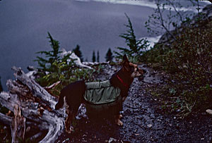 Micki on way back down Rampart Ridge trail