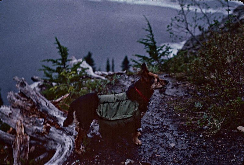 Micki, in the rain, on the trail up above Rachel Lake.