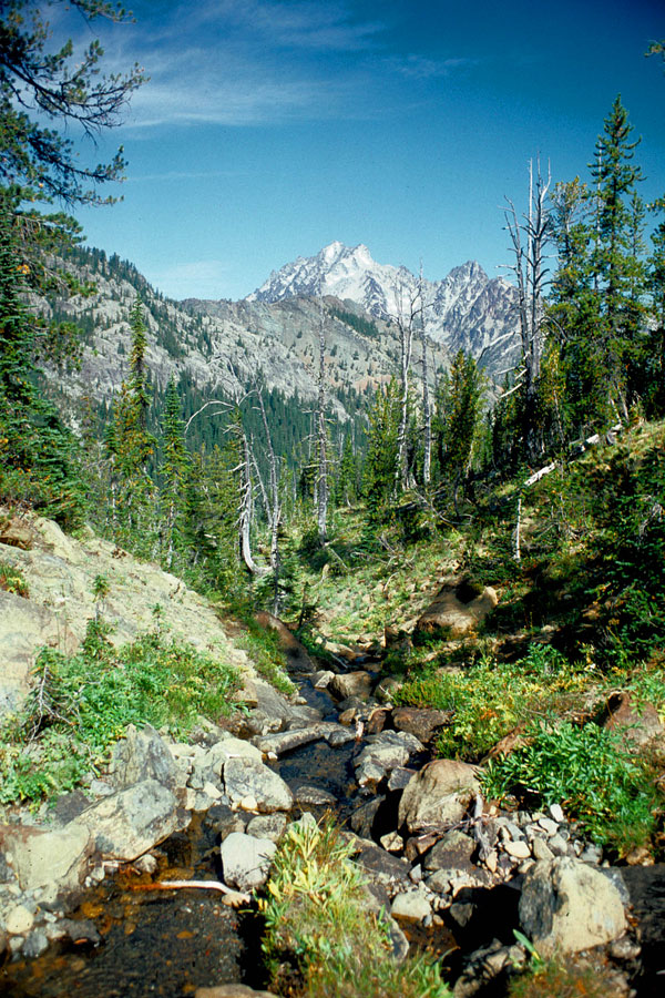 On the County Line Trail, Stuart Range.