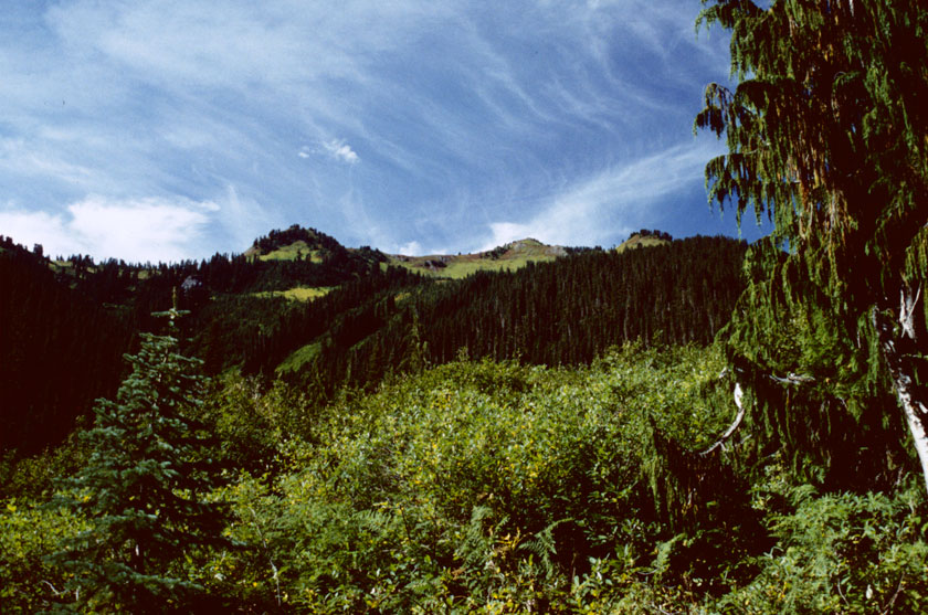 Looking up at the heights from the Indian Creek trail.