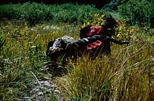 pups-on-indian-crk-trail