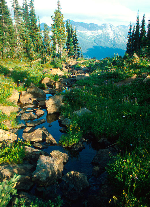 Cradle Lake outlet stream