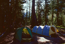 133_leroy-creek-basin-camp-1