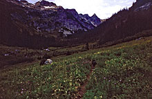 158_mica-leaving-spider-meadow