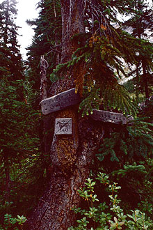 159_trail-sign-1