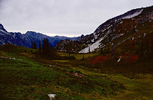 183_looking-towards-railroad-creek-1