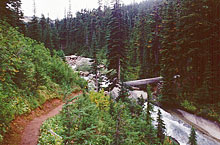 184_log-bridge-over-railroad-creek